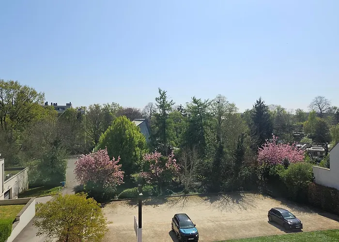 Modern Duplex With Garden